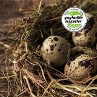 Resim Bıldırcın Yumurtası 12’li